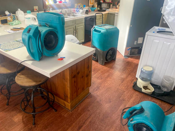 Best Water damage restoration company  in Rutledge, TN
