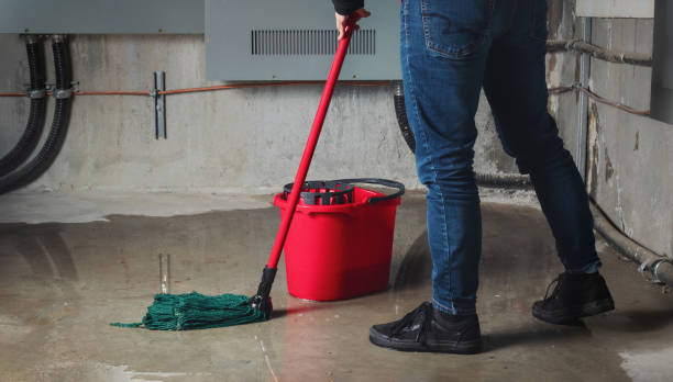 Best 24-hour water damage restoration  in Rutledge, TN