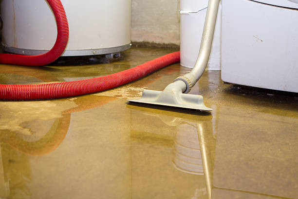 Best Sewage cleanup and water damage restoration  in Rutledge, TN