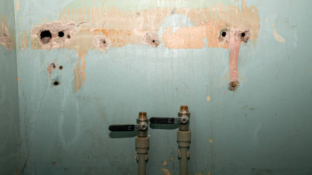 Best Water damage restoration near me  in Rutledge, TN