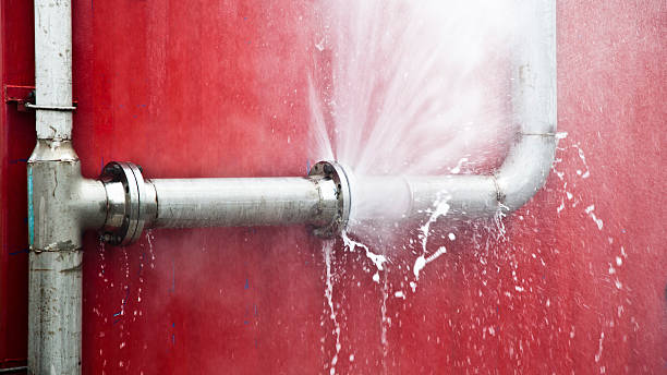 Best Water damage repair service  in Rutledge, TN